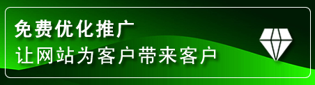 贞丰网站推广